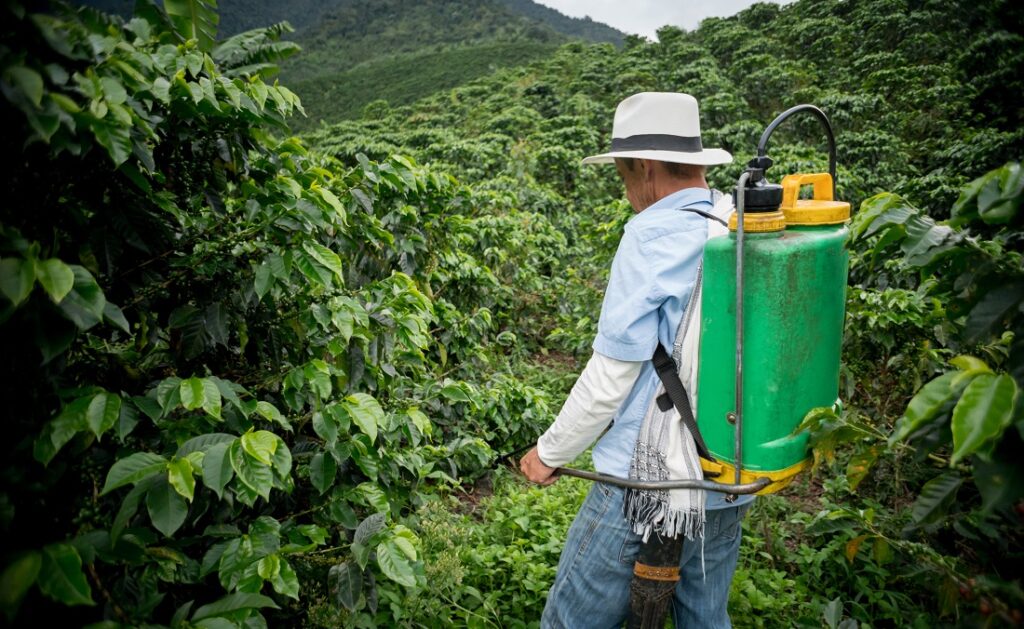 unsustainable coffee production