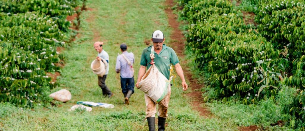 sustainability farming coffee Nicaragua