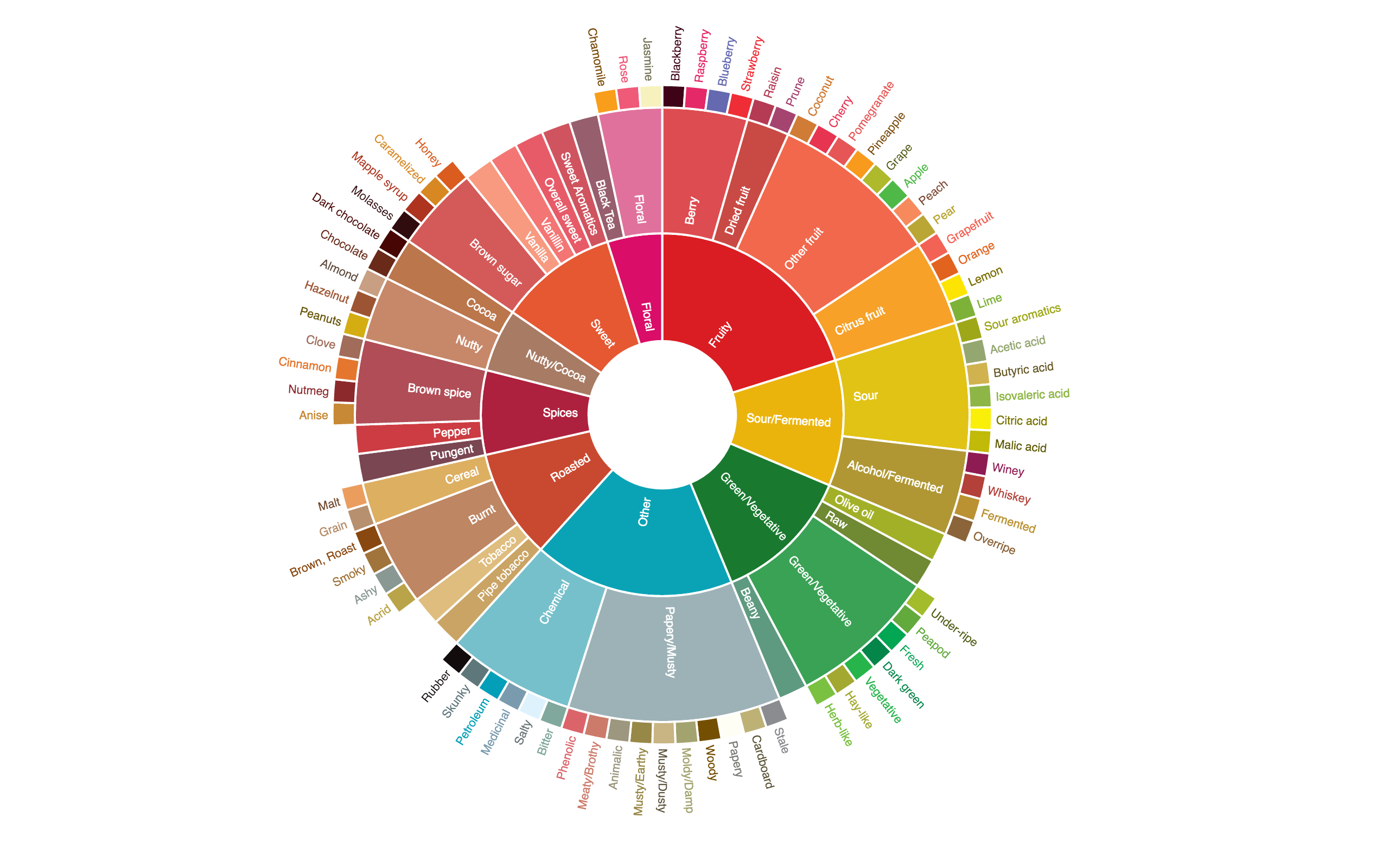 flavor wheel coffee